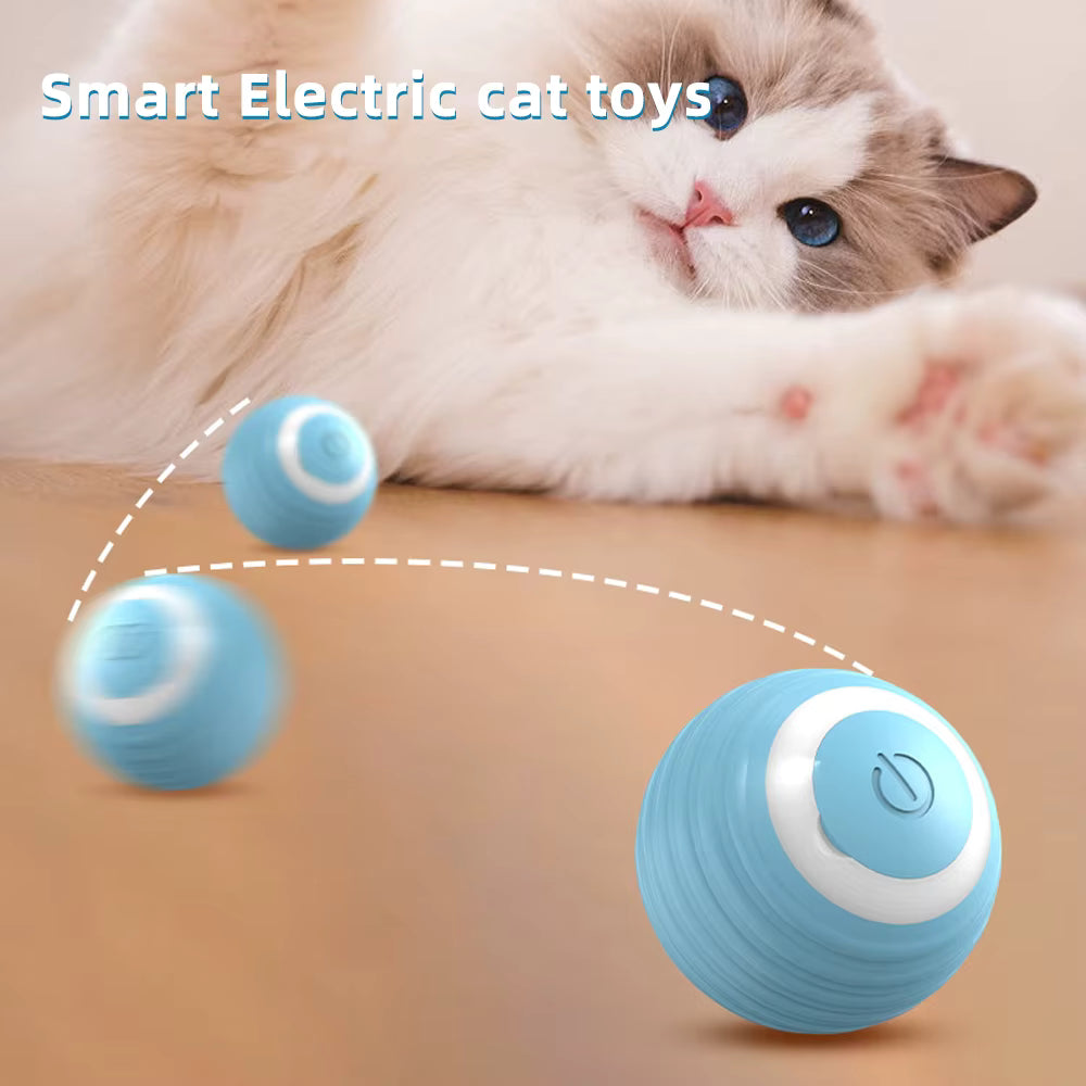 Smart electric cat toy with a cat interacting with it on a wooden surface.