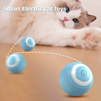 Smart electric cat toy with a cat interacting with it on a wooden surface.