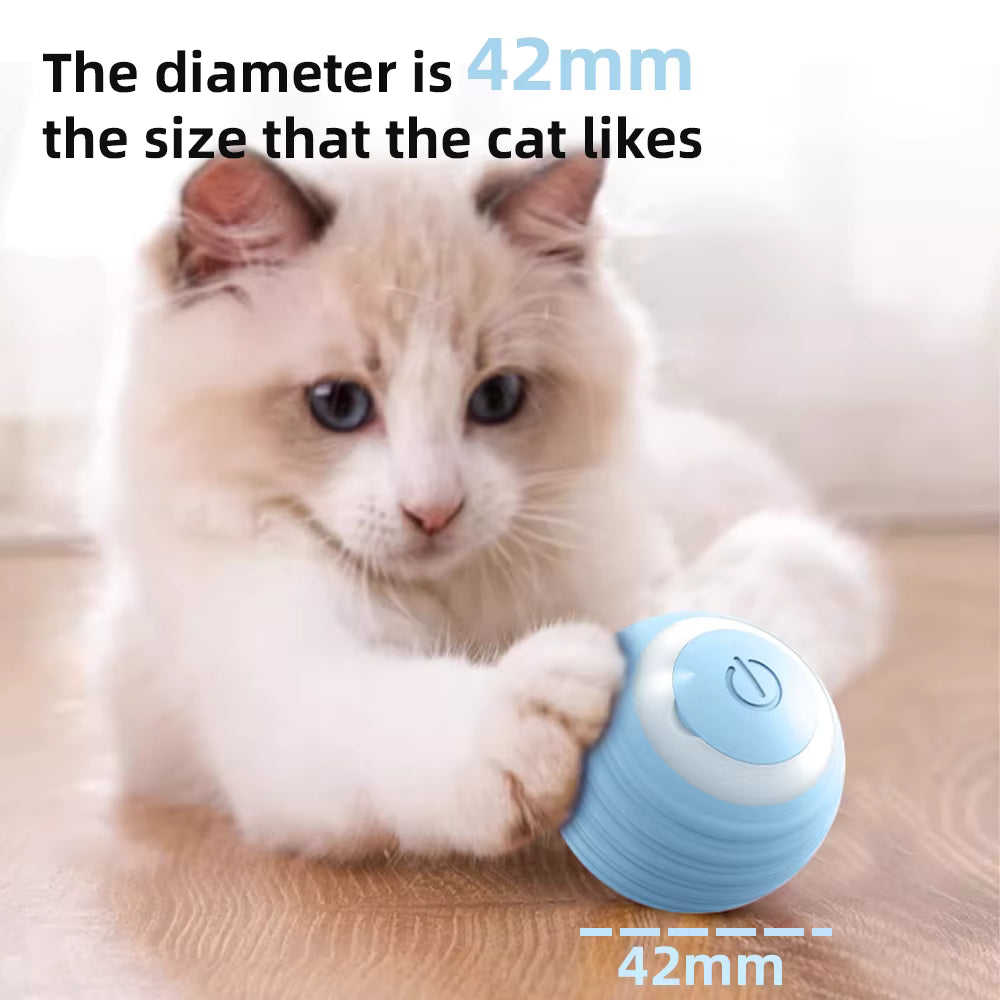 Cat playing with a blue ball, indicating the size is 42mm.