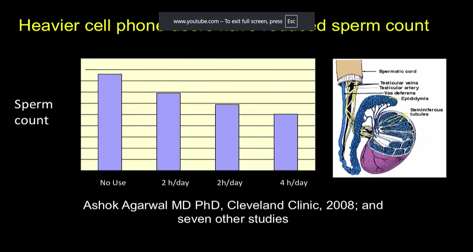 cell phone radiation affecting sperm count