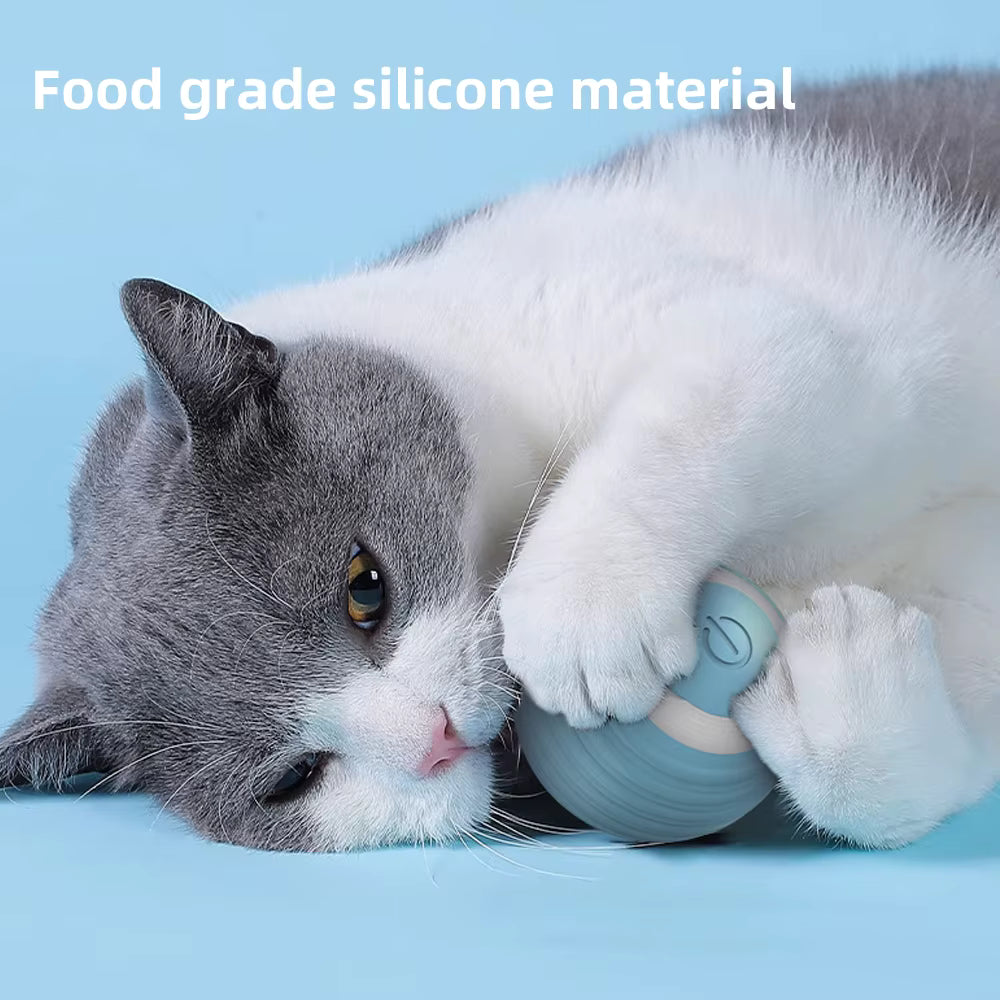 Cat playing with a blue toy on a light blue background, with text 'Food grade silicone material'.