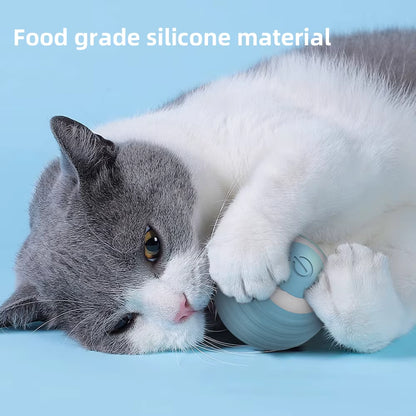 Cat playing with a blue toy on a light blue background, with text 'Food grade silicone material'.